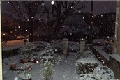 PHOTOS: Waking up to snow in Bristol
